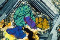 Dolérite (auréoles de blindage) LPA x10